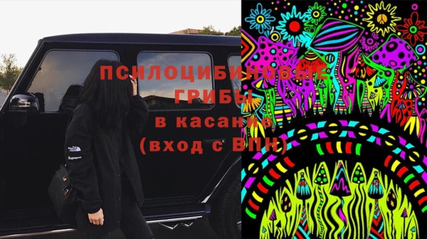 марки lsd Новозыбков
