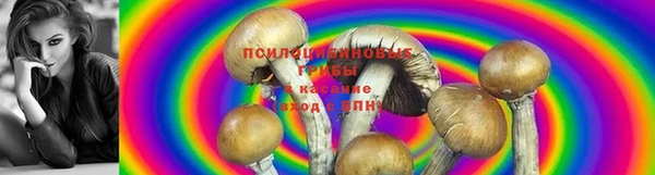 MESCALINE Новокубанск
