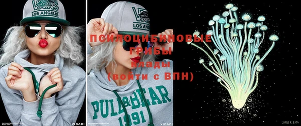 молекула духа Новодвинск