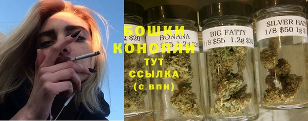 молекула духа Новодвинск