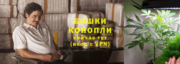 марки lsd Новозыбков