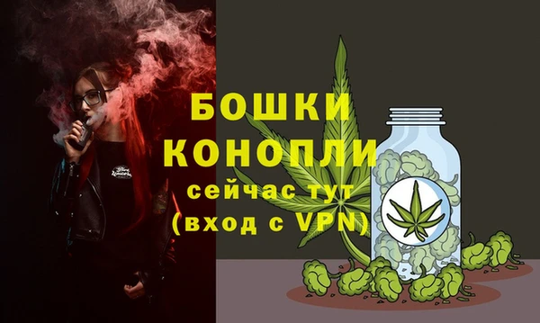 молекула духа Новодвинск