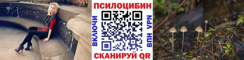 Псилоцибиновые грибы мицелий  Чишмы 